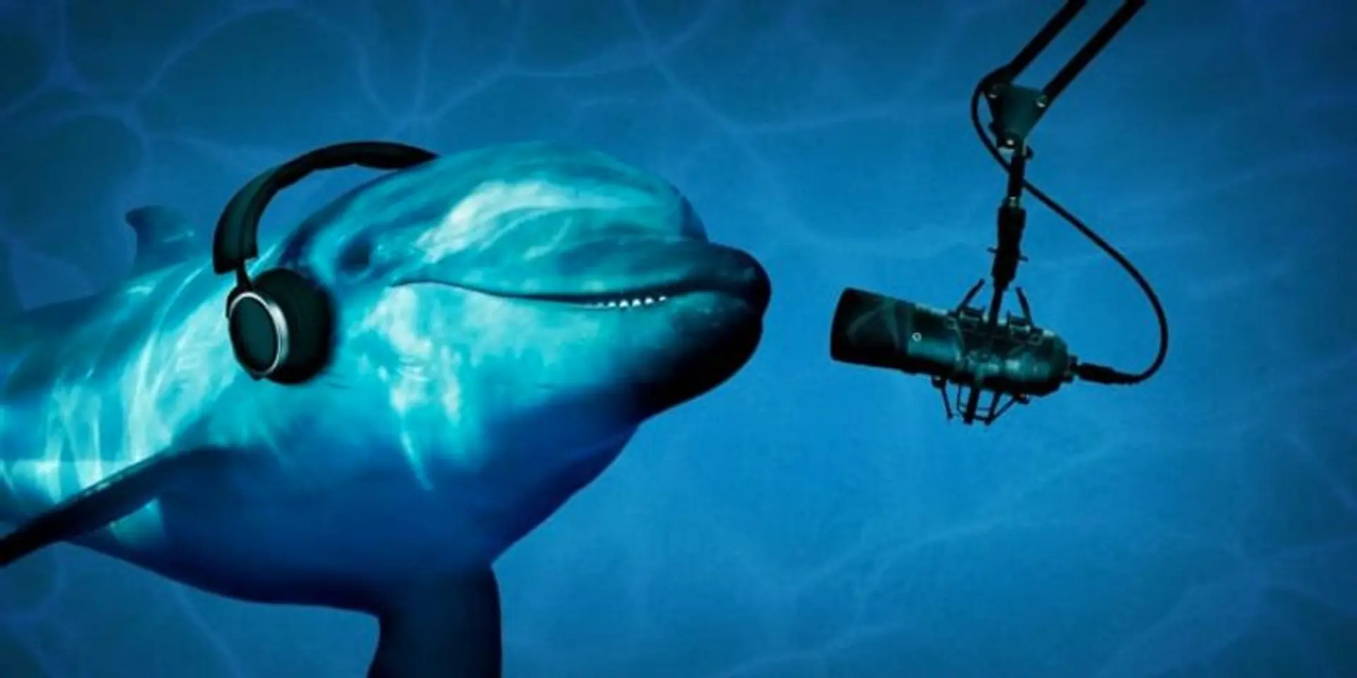 Google's New AI Can Talk to Dolphins!