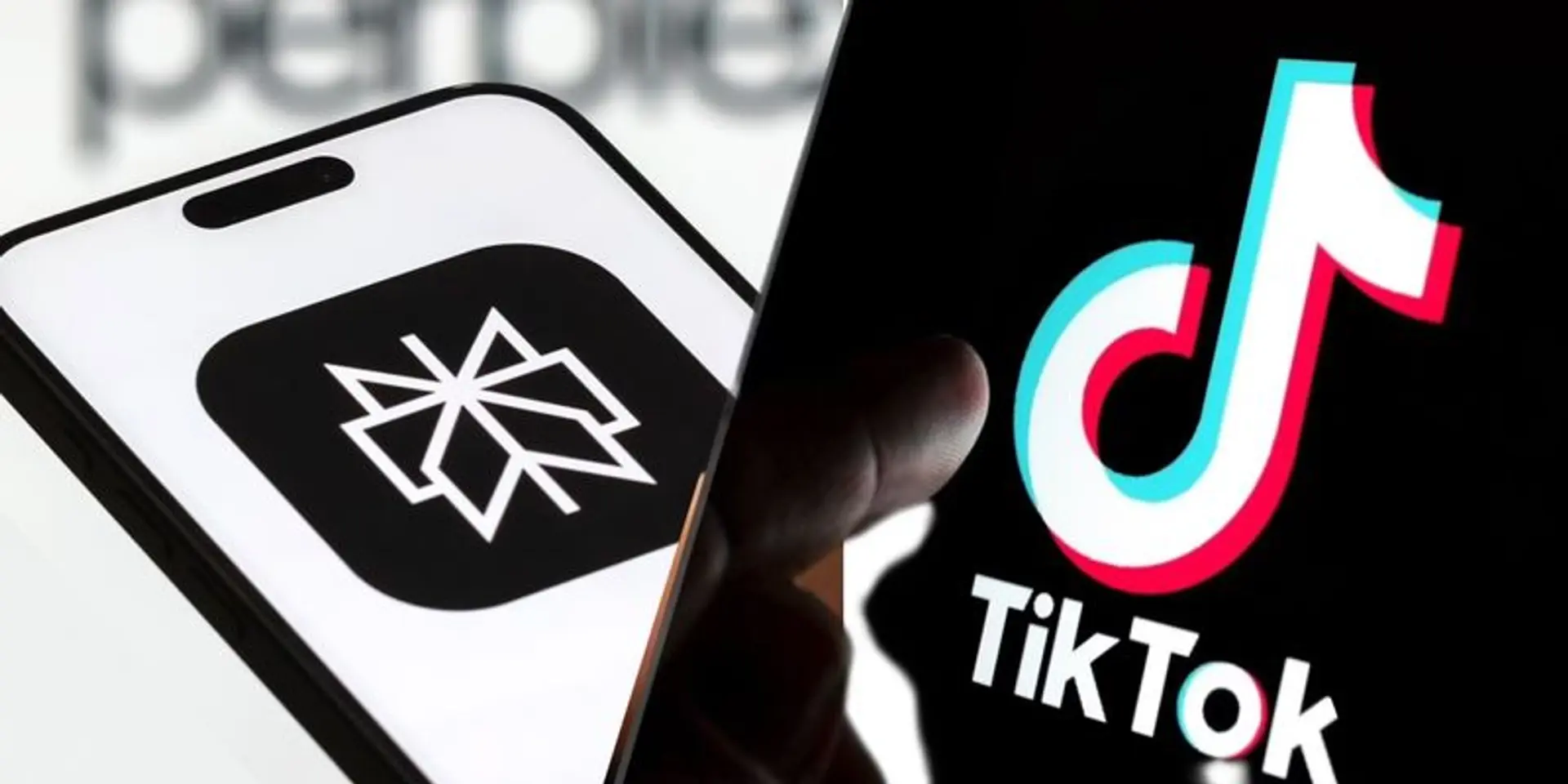 Perplexity AI Submits Bid to Merge with TikTok