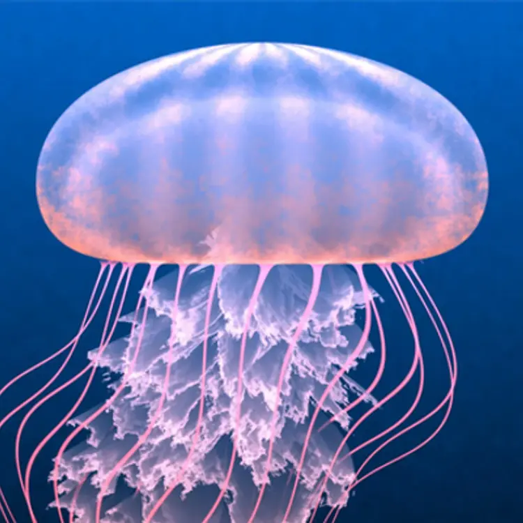 EtherealX: The SpaceX of India Pioneering the Future of Rocket ...