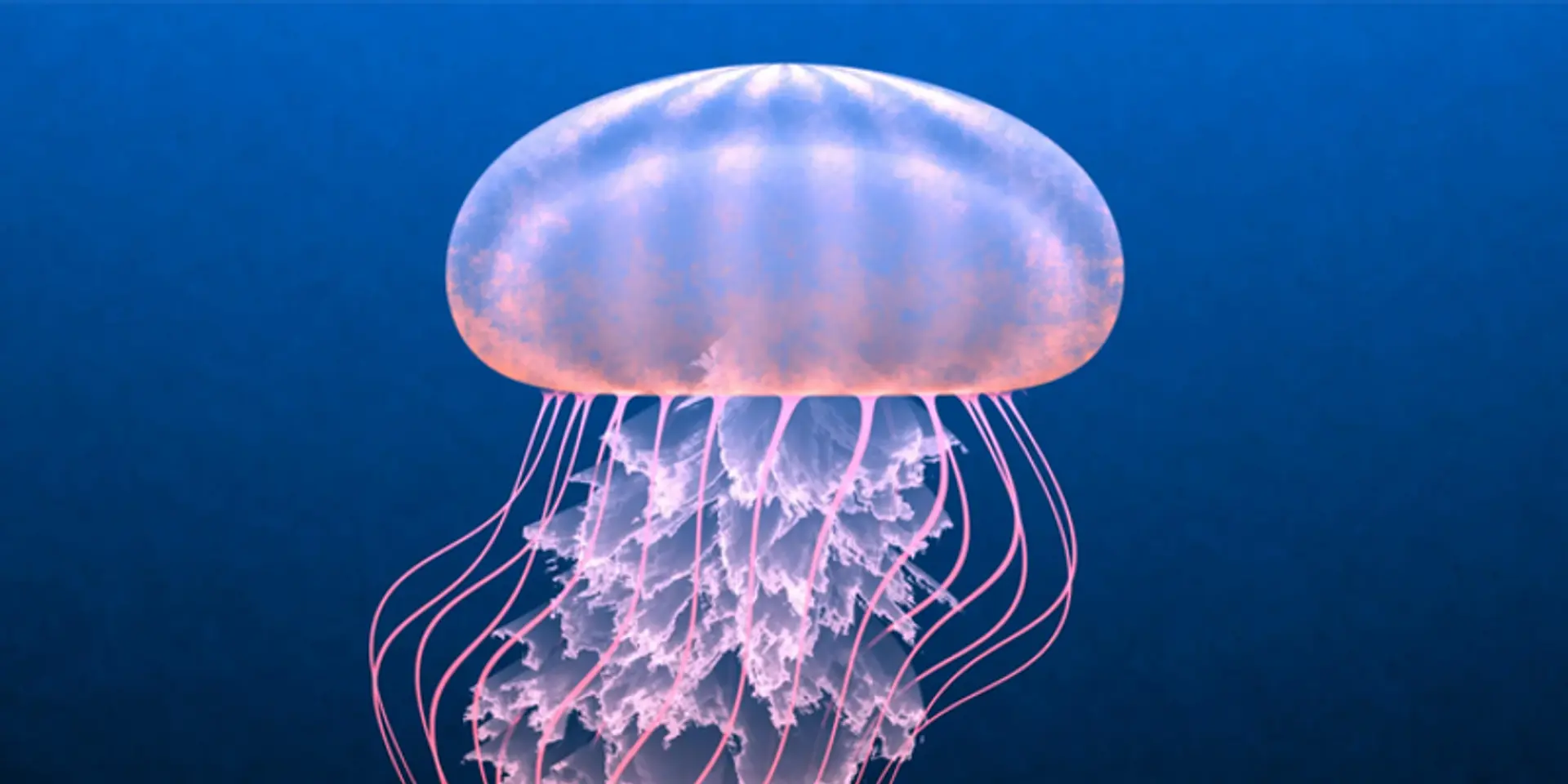 These images were created using mathematical equations only!