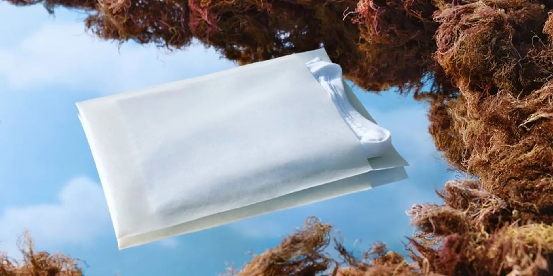 How Seaweed Could Soon Let You Eat Your Packaging
