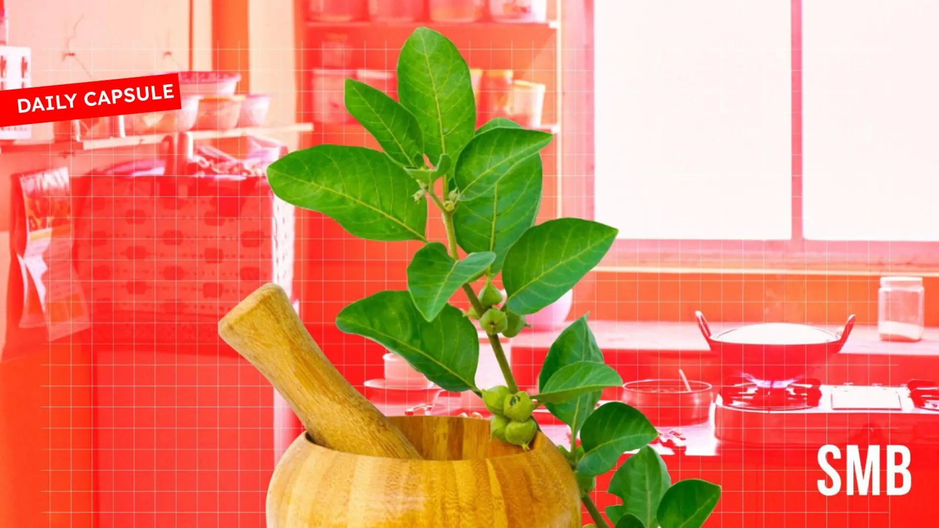 Wellness the Ayurvedic way; Taking Rajasthani crafts global