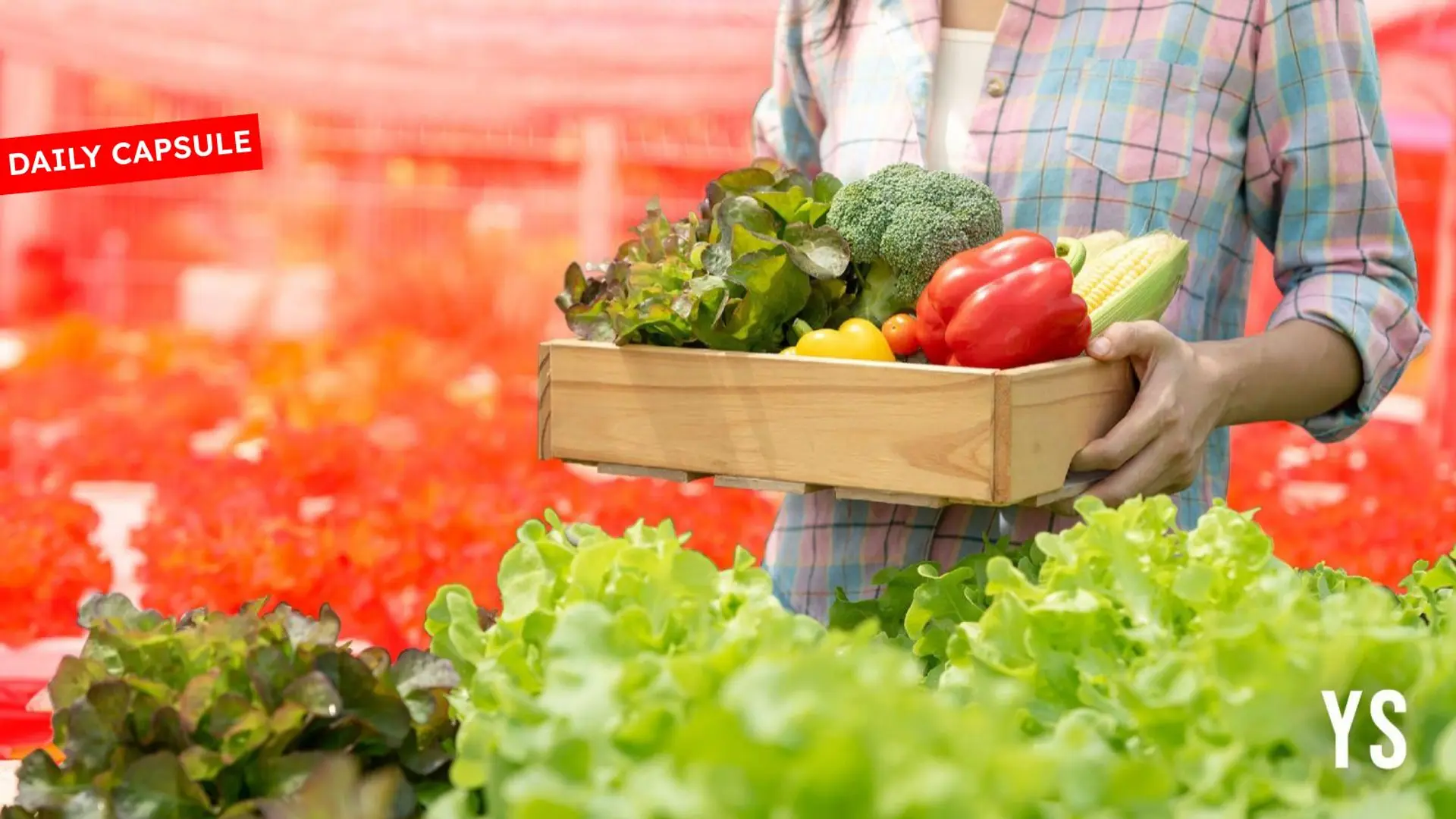 Online grocers and their picky customers; Good Monk rethinks nutrition