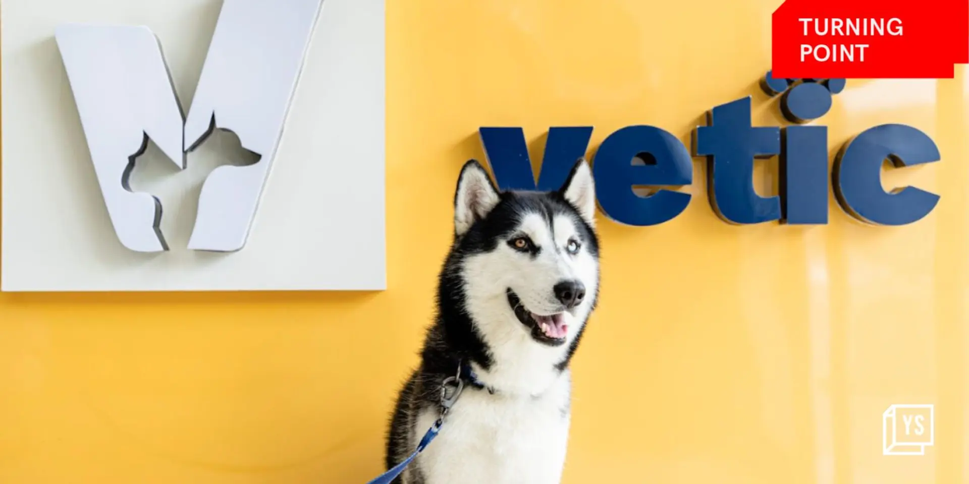 A hunt for a good vet during the pandemic led to the launch of Vetic