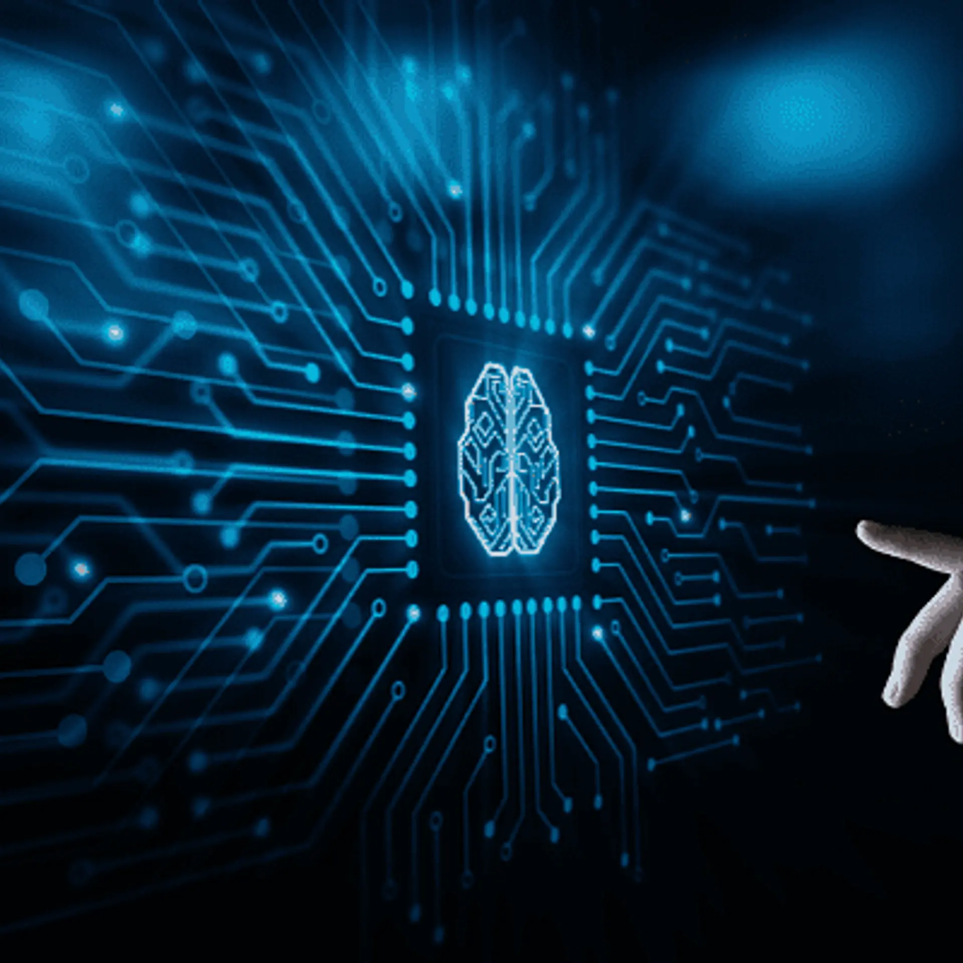 Google drives AI to boost agriculture, enrich cultural data