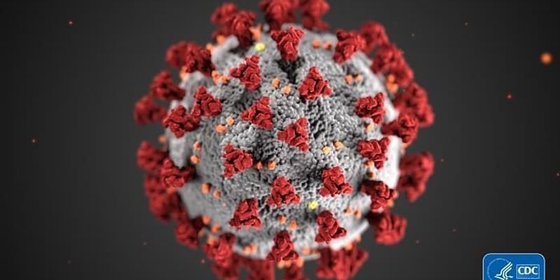 Coronavirus updates for April 18