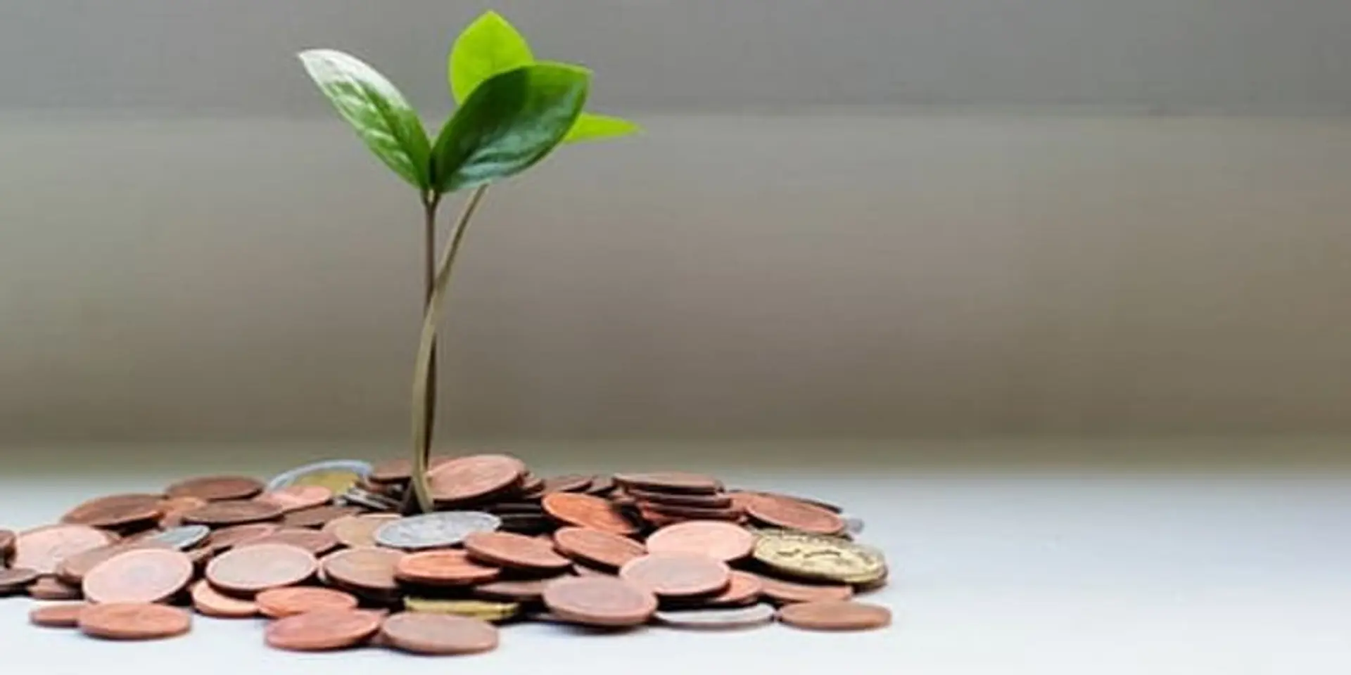 IMF projects India's growth rate to jump to impressive 12.5pc in 2021