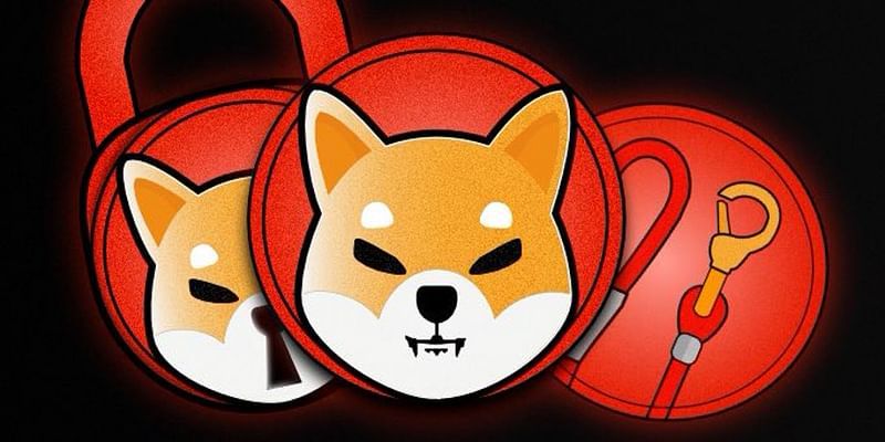 All about the Shiba Inu coin and how to buy it in India