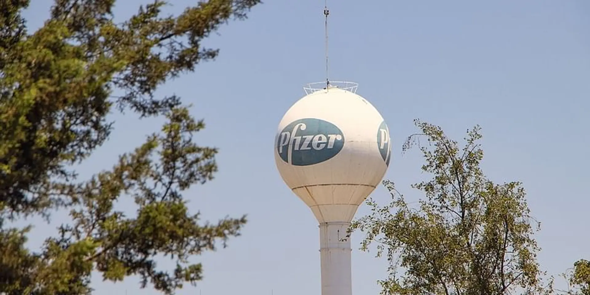 Pfizer in final stages of agreement to supply COVID-19 vaccine doses to India: CEO