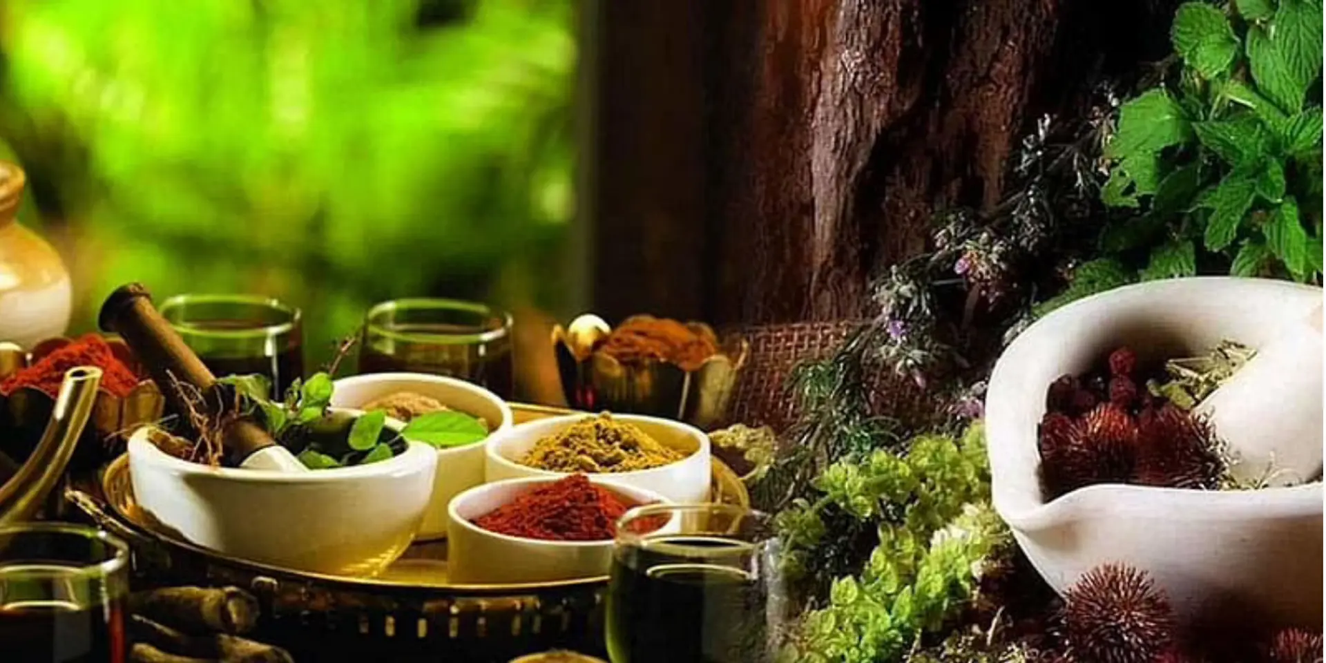 The $100B opportunity: Why VCs are finally taking Indian nutraceuticals seriously