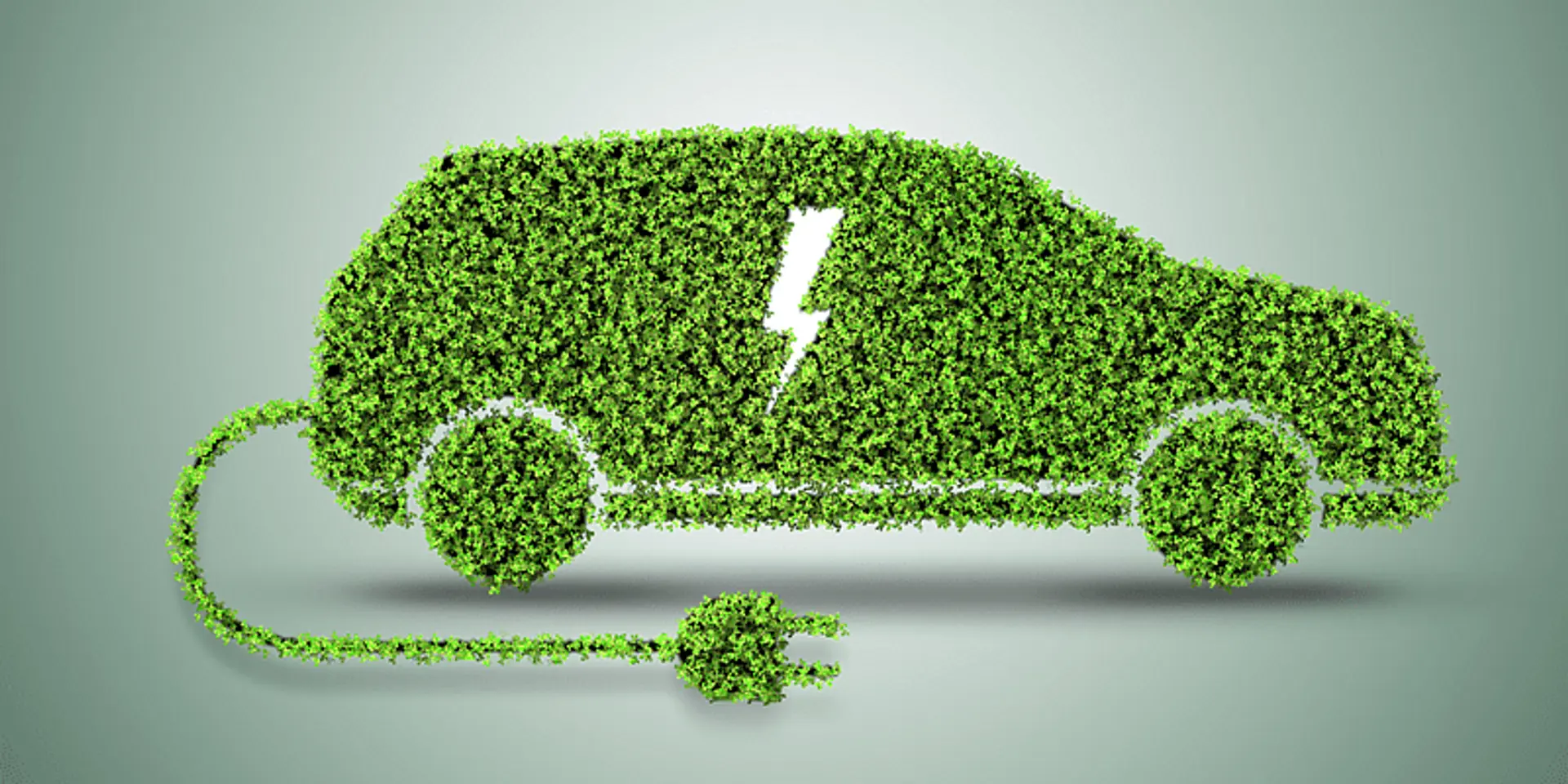 EV maker WardWizard to invest Rs 150 Cr in next six months
