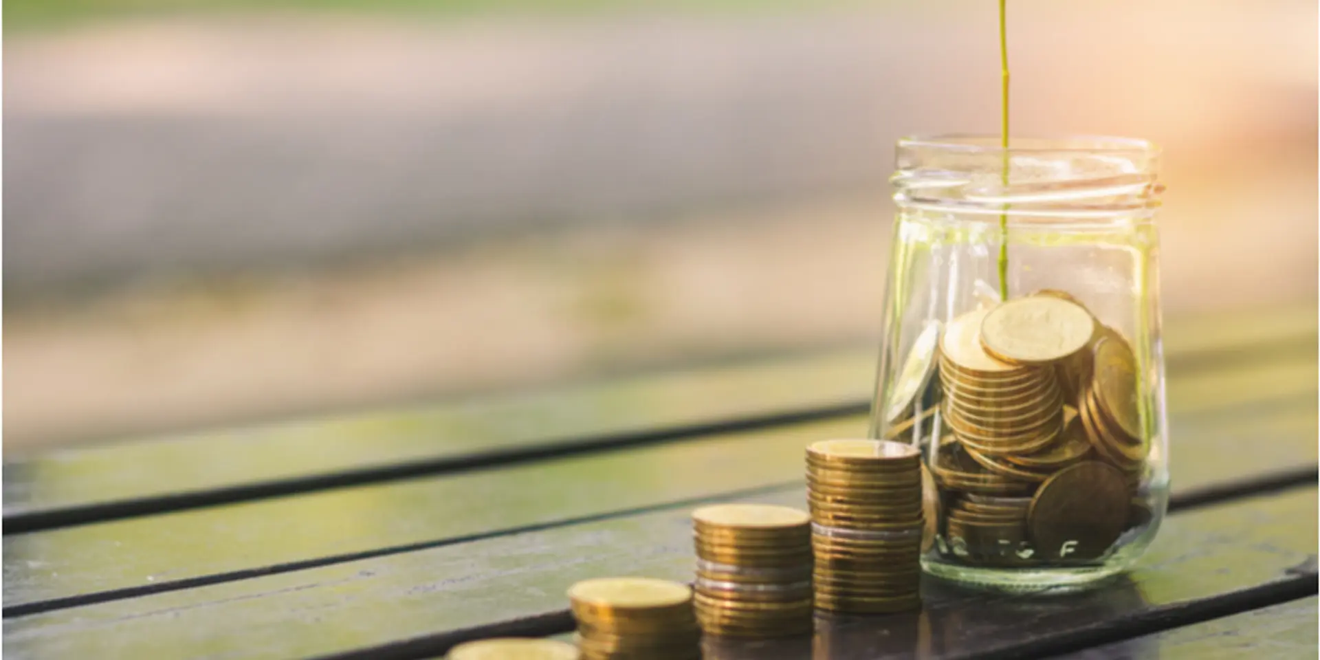 Agritech startup WayCool Foods receives $114K grant from Dutch development bank FMO