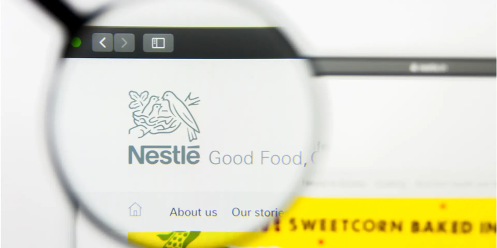 FSSAI in process of collecting pan-India samples of Nestle's Cerelac baby cereals: CEO
