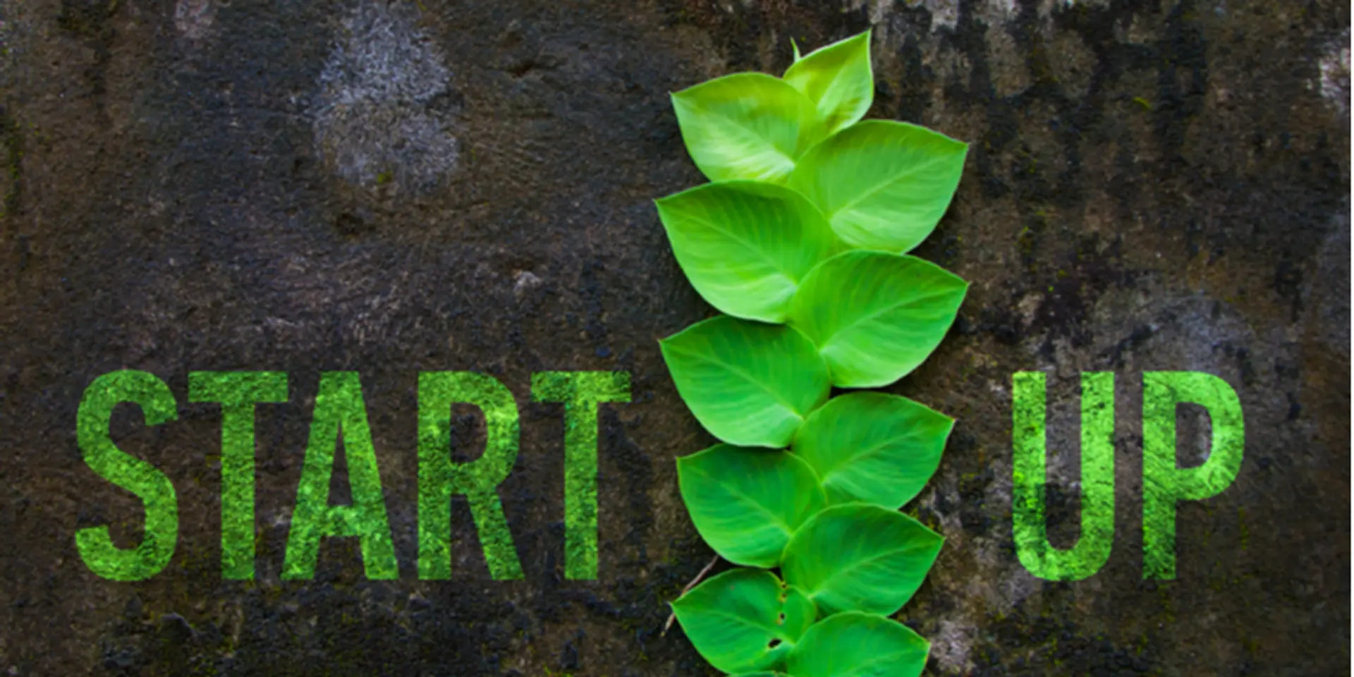 These 5 cleantech startups are making India self-reliant and sustainable