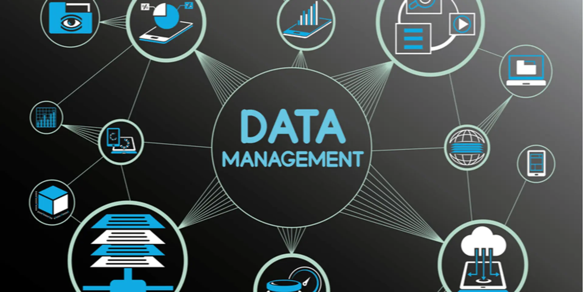 India needs paradigm shift in personal data management: Niti Aayog