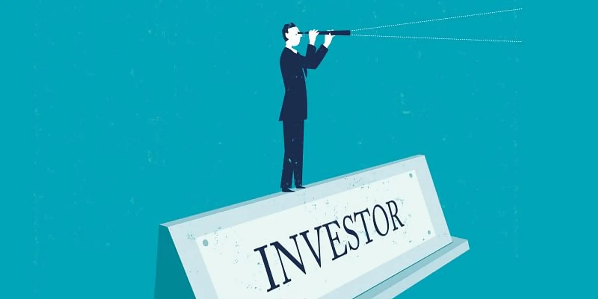 Govt to launch portal for promoting domestic investments by May