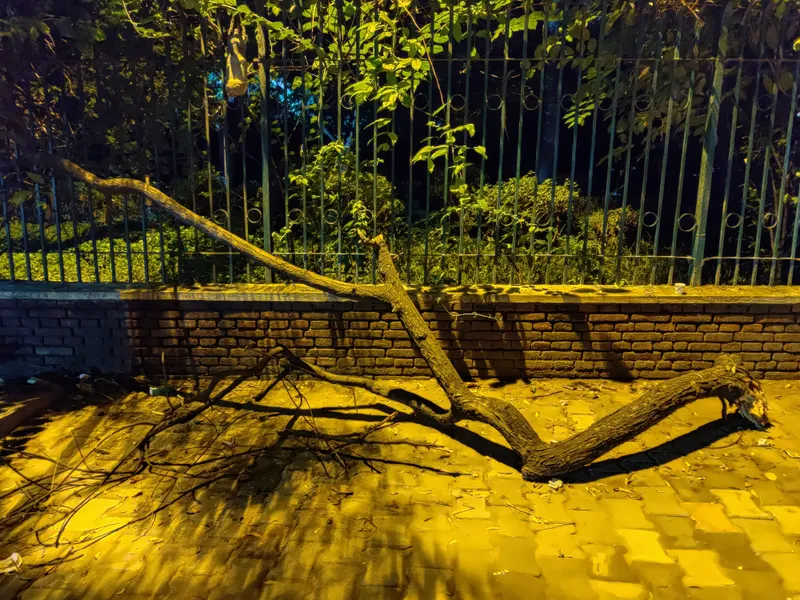 OnePlus7T camera