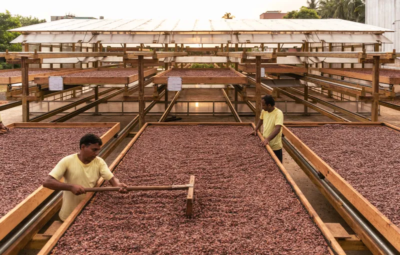 Manam fermentation plant