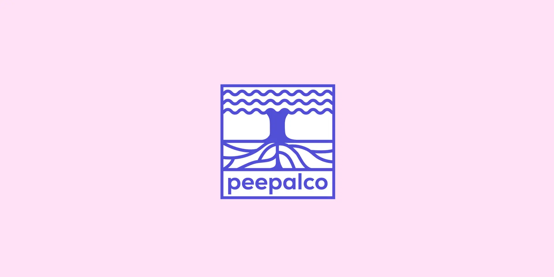 CoinSwitch reshapes under PeepalCo for wealth-tech expansion