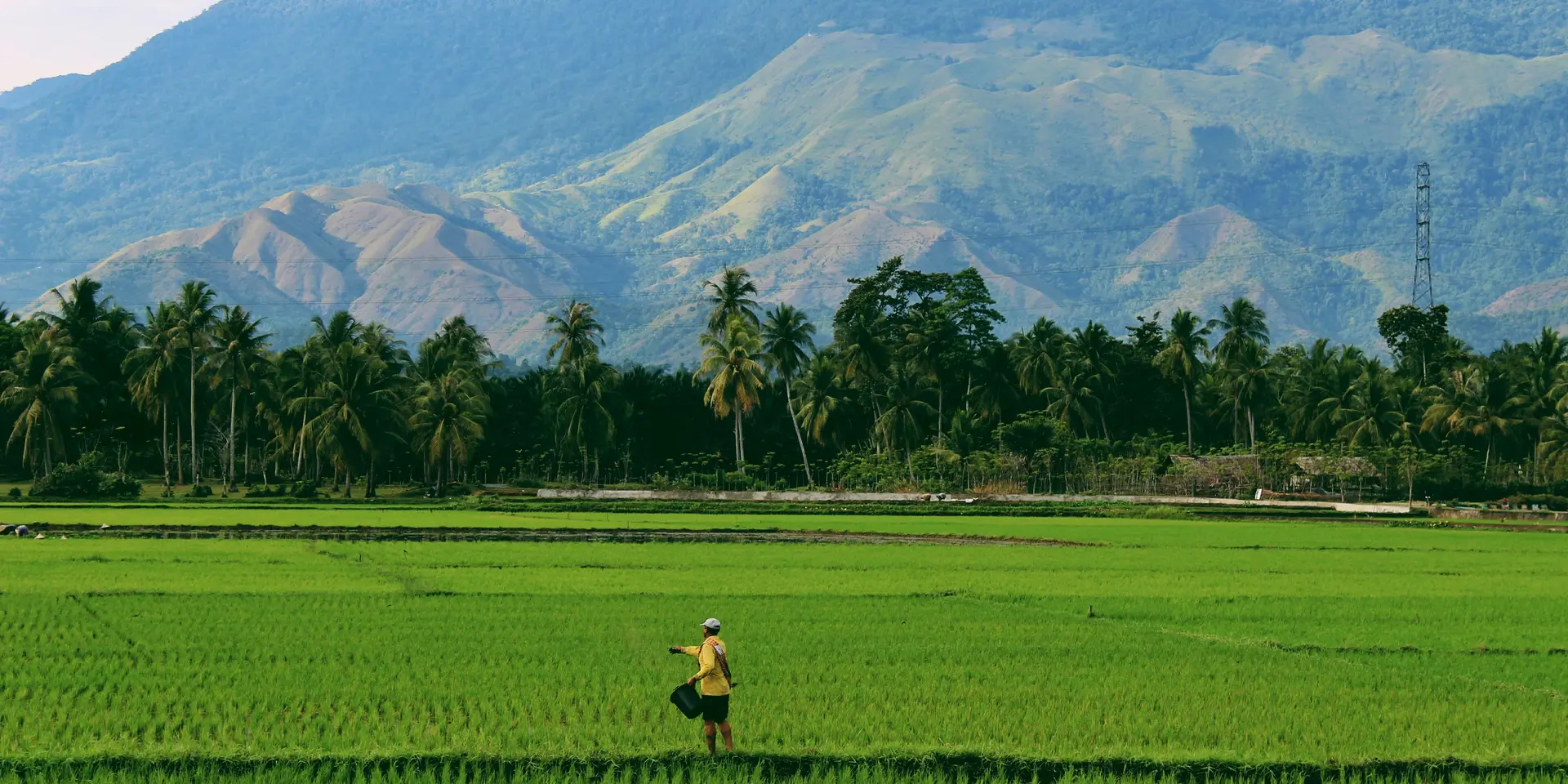 Kaleidofin secures $5.3M from IDH Farmfit to boost agri-fintech offerings