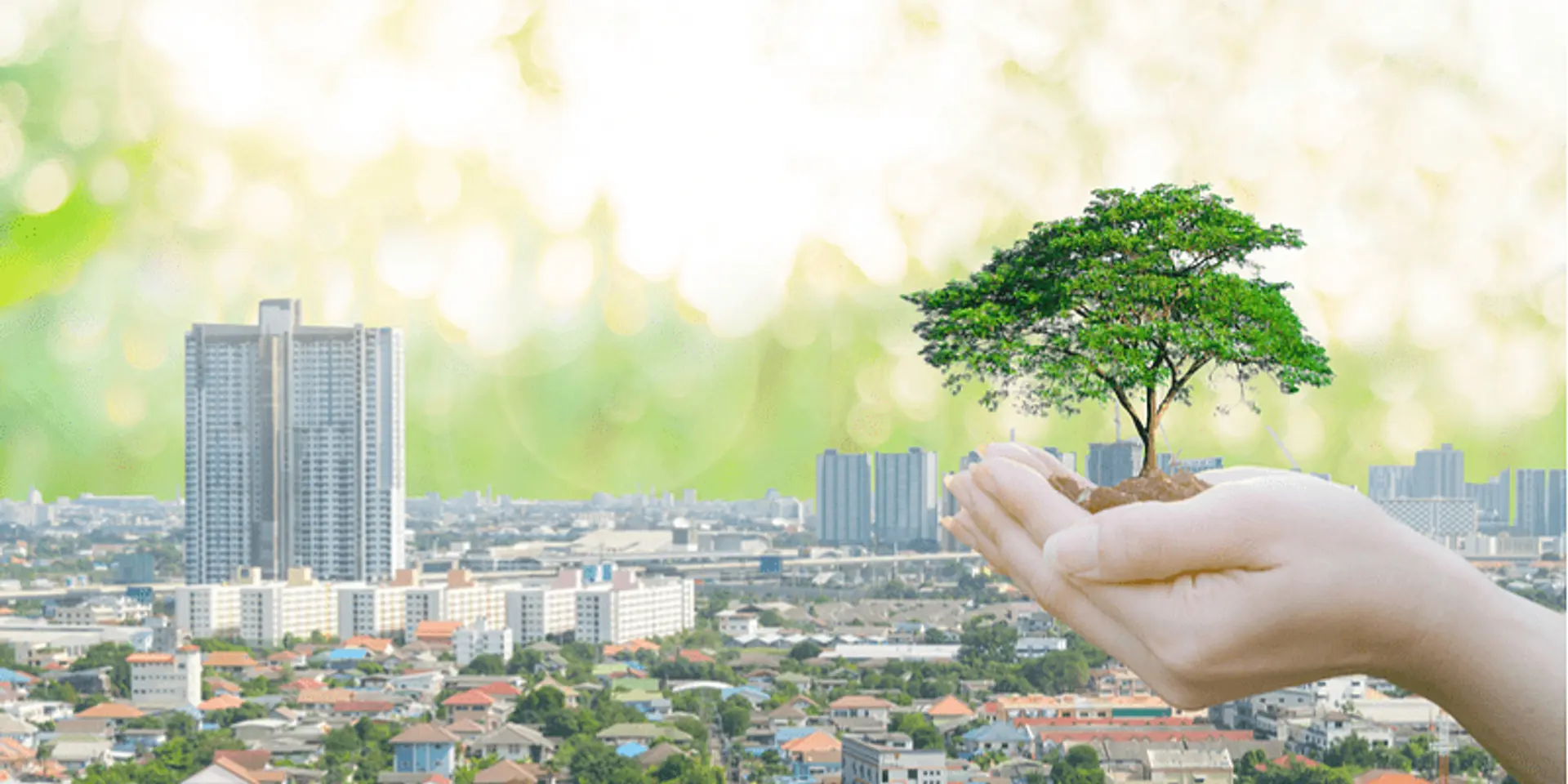 The Future of Built Environment in India