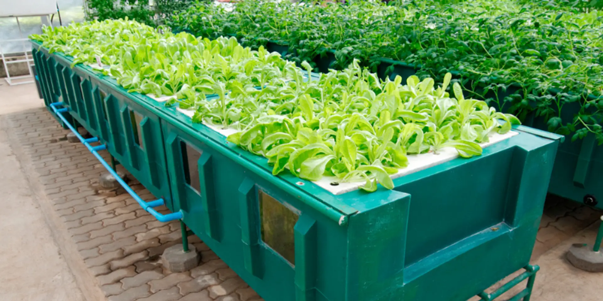 How next-gen agri-techniques could deliver multi-fold productivity gains and combat hunger in India