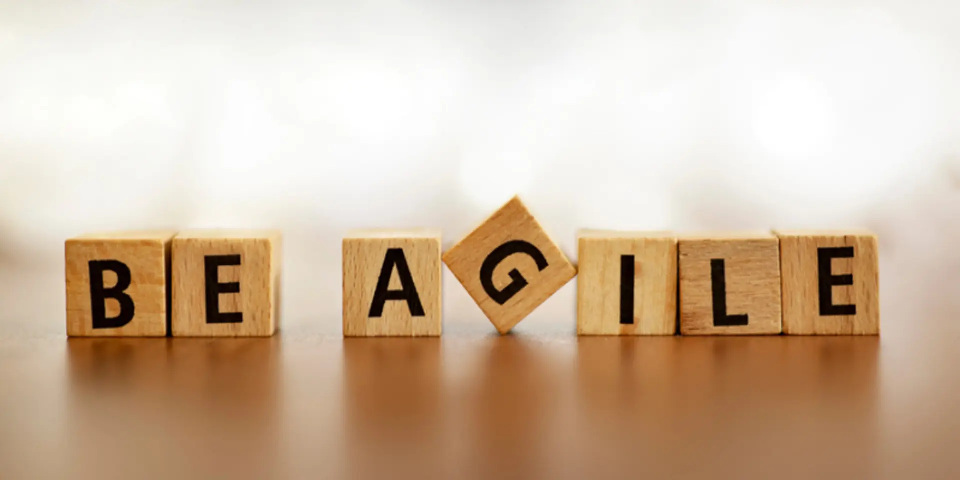 Be agile or be irrelevant: How can organisation enhance adaptability in troubled times