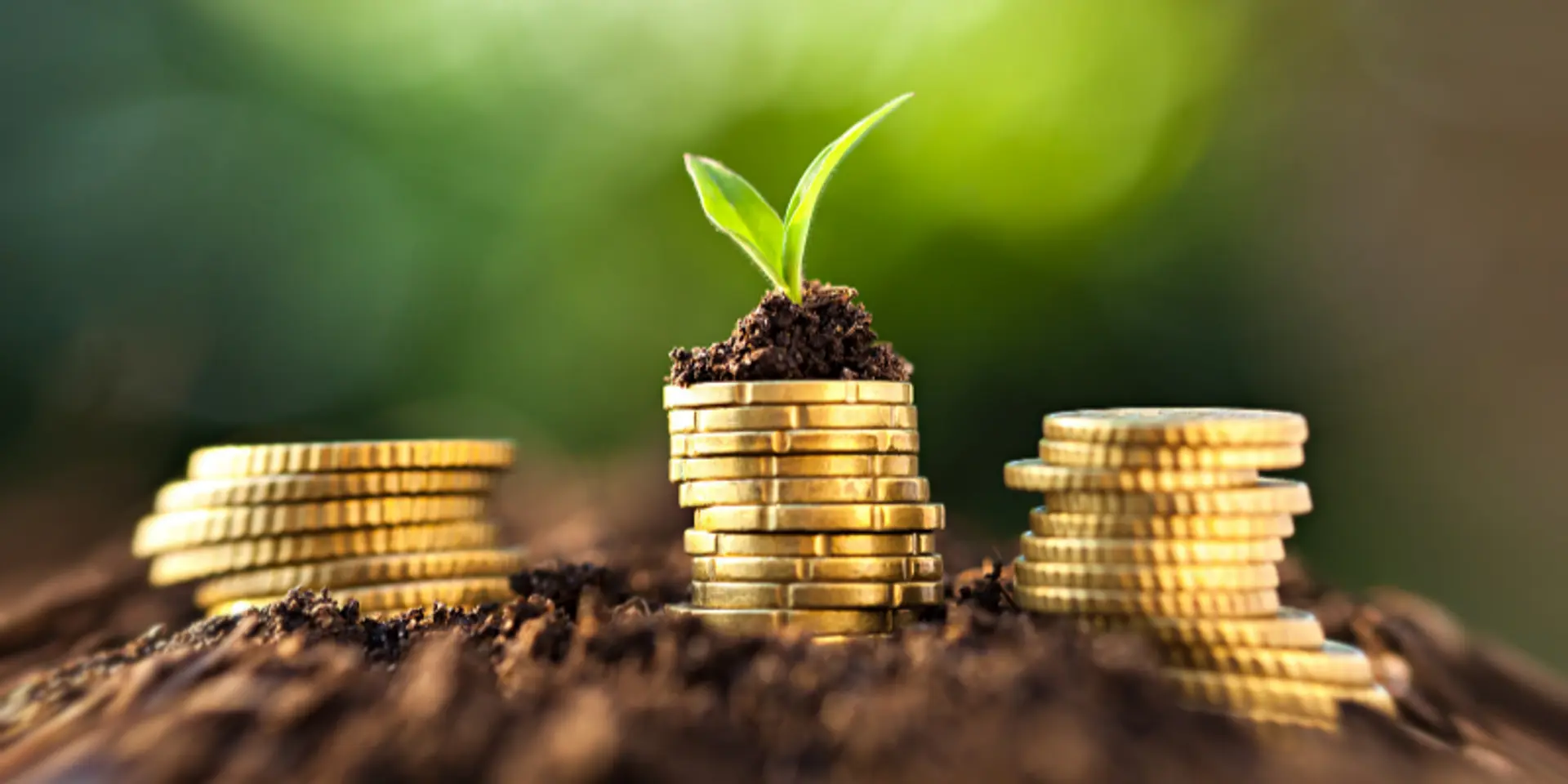 Agri financing: The next era of evolution for agriculture