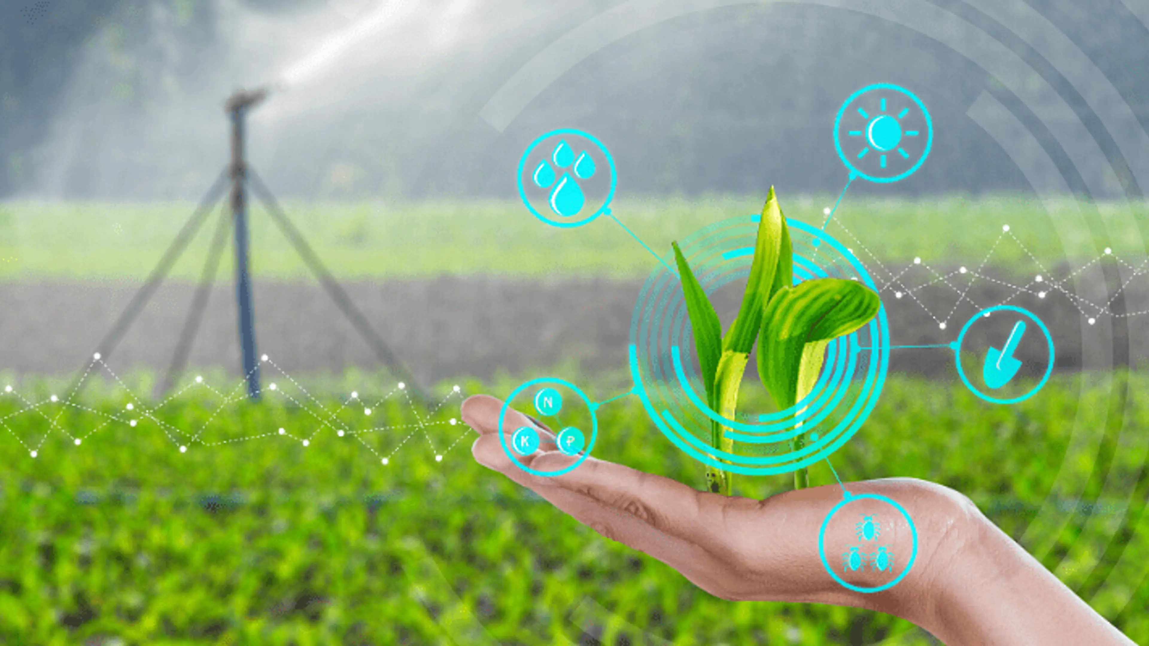 Agritech startup funding declines by third, deal count falls 42% in 2022: Report