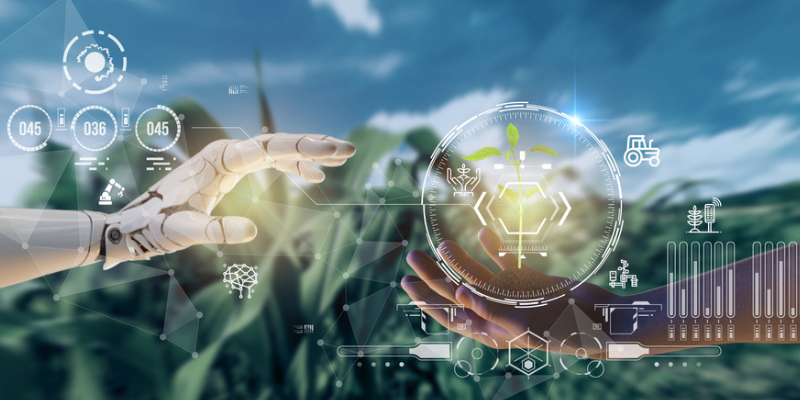 The Importance Of AI-based Farm Management