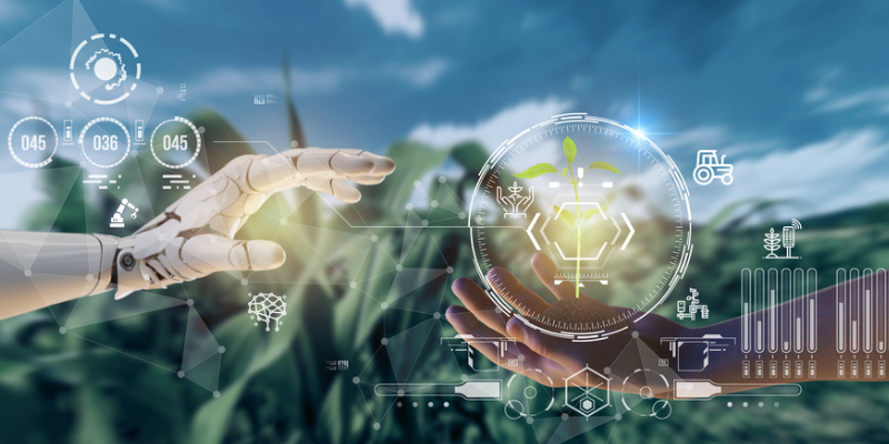 The importance of AI-based farm management

