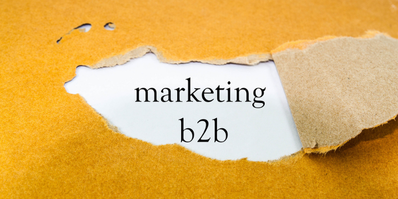 Content is king: how B2B content marketing is emerging as a game-changer for startups

