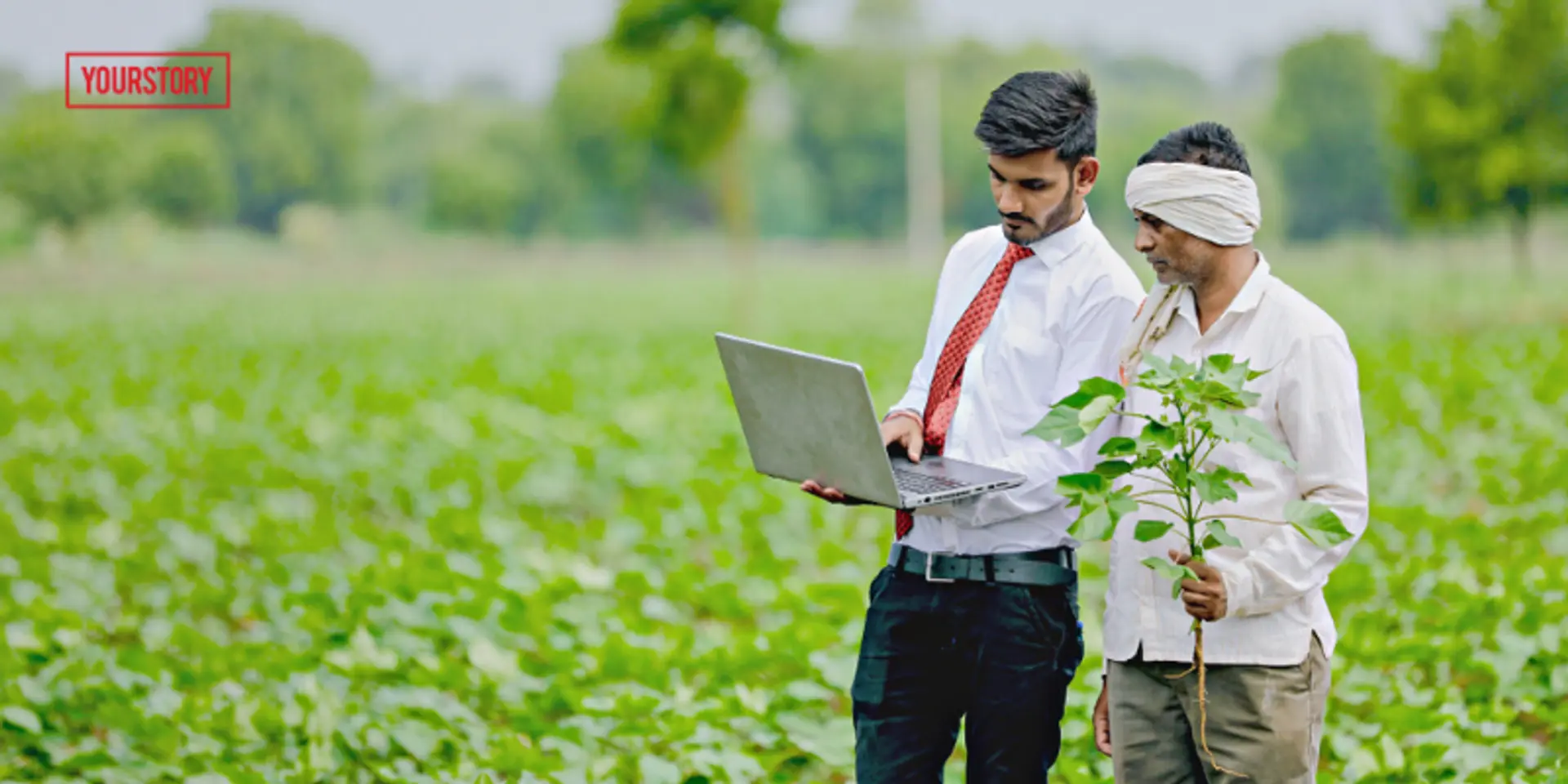 How building a government tech stack can assure MSP to farmers