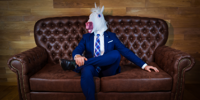 Why you need a 'hunicorn' to successfully implement complex systems for government agencies

