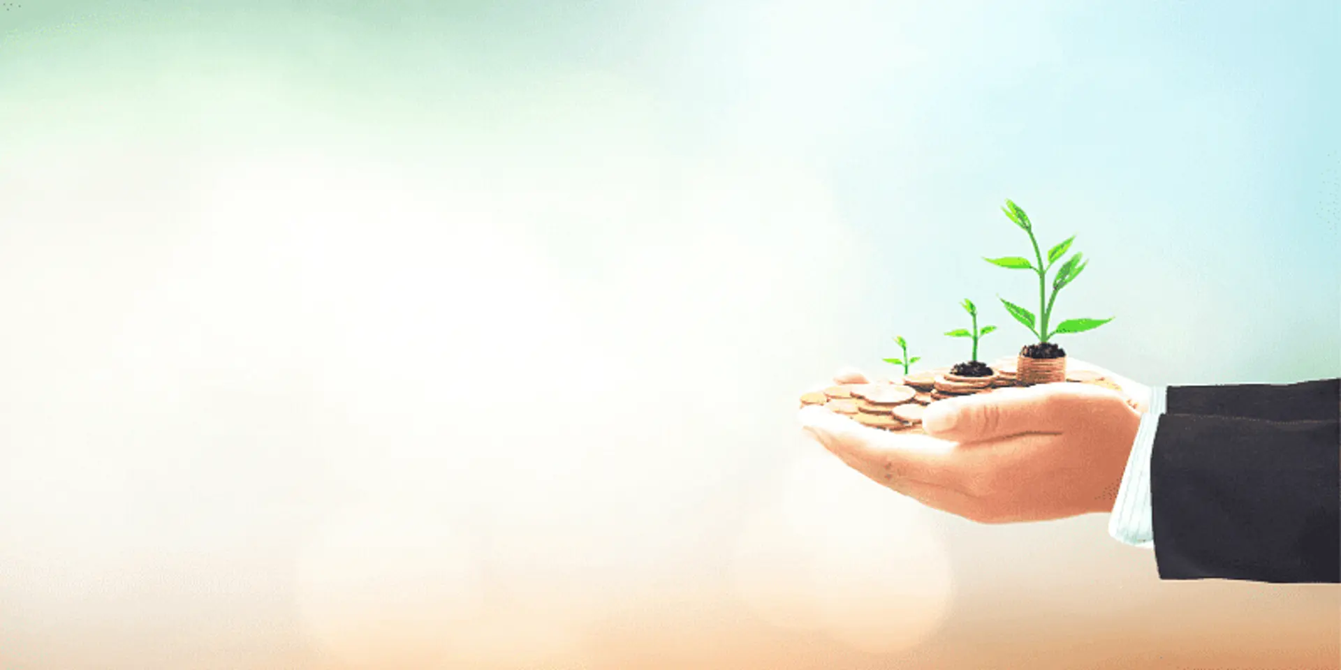 The pursuit of profit with a purpose: Gaining more ground
