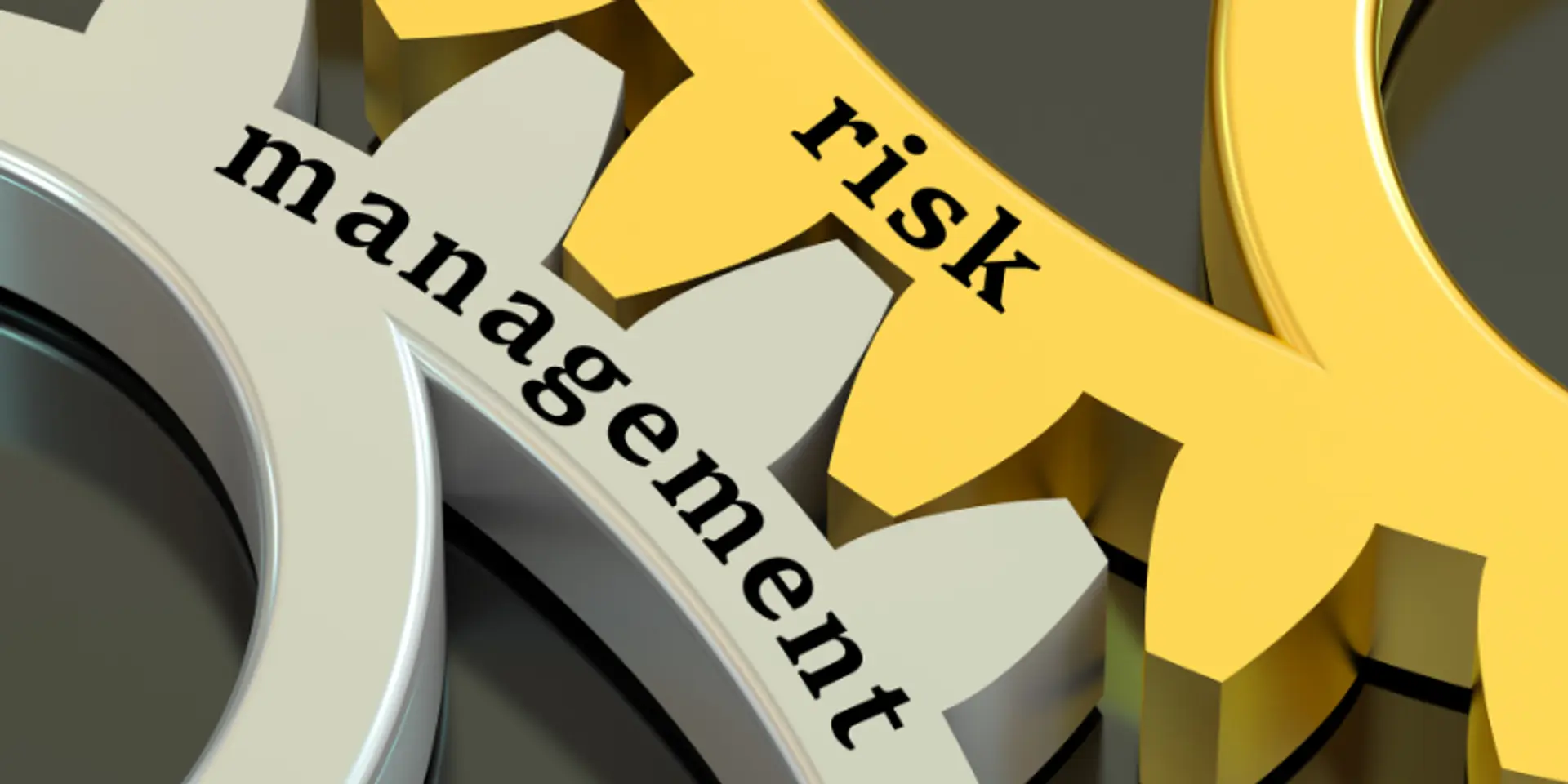 Risk management for startups: best practices