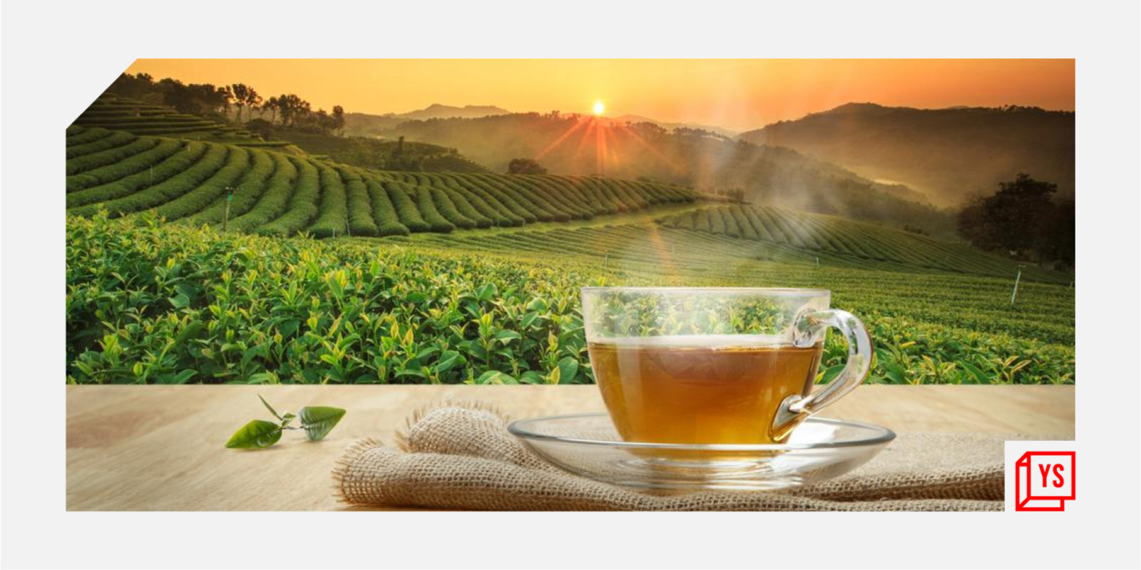 How startups are helping India’s age-old tea industry brew up new trends

