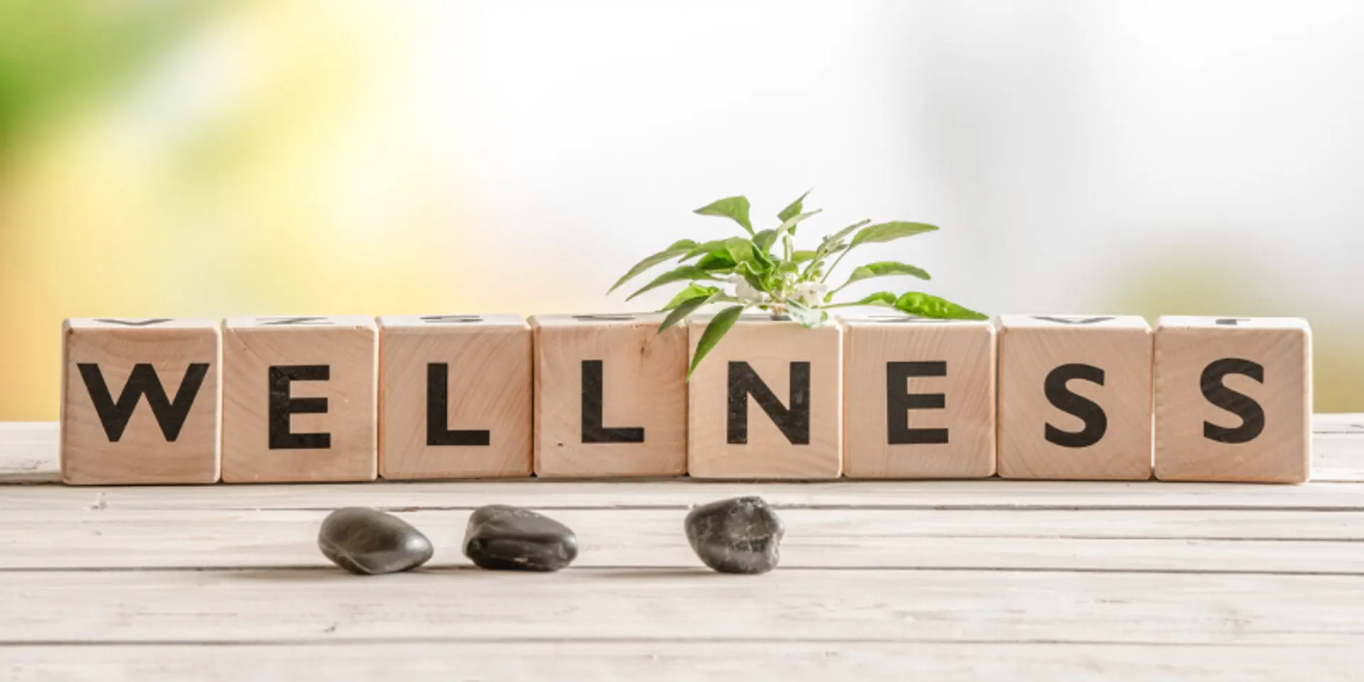The new dimensions of wellness industry in post-pandemic times