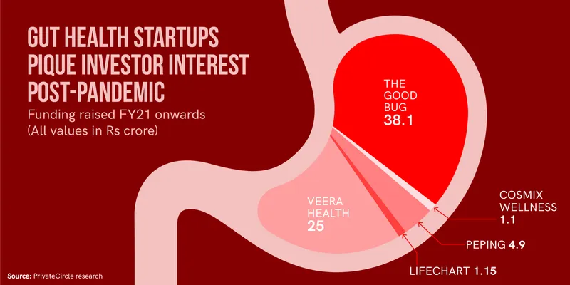 gut health