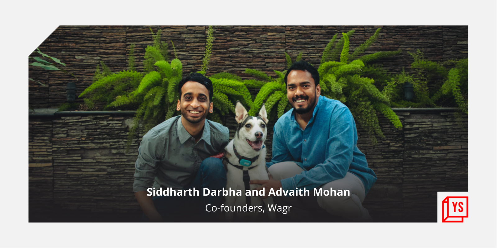 How a lost dog inspired two friends to build a pet tracker that grew into a full-fledged petcare startup