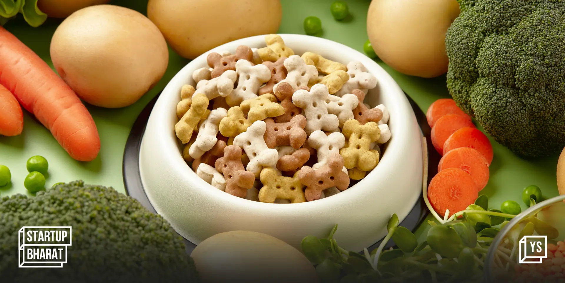 How Saakshi Sharma, a mother to a dog with meat allergy, started a vegan pet food startup