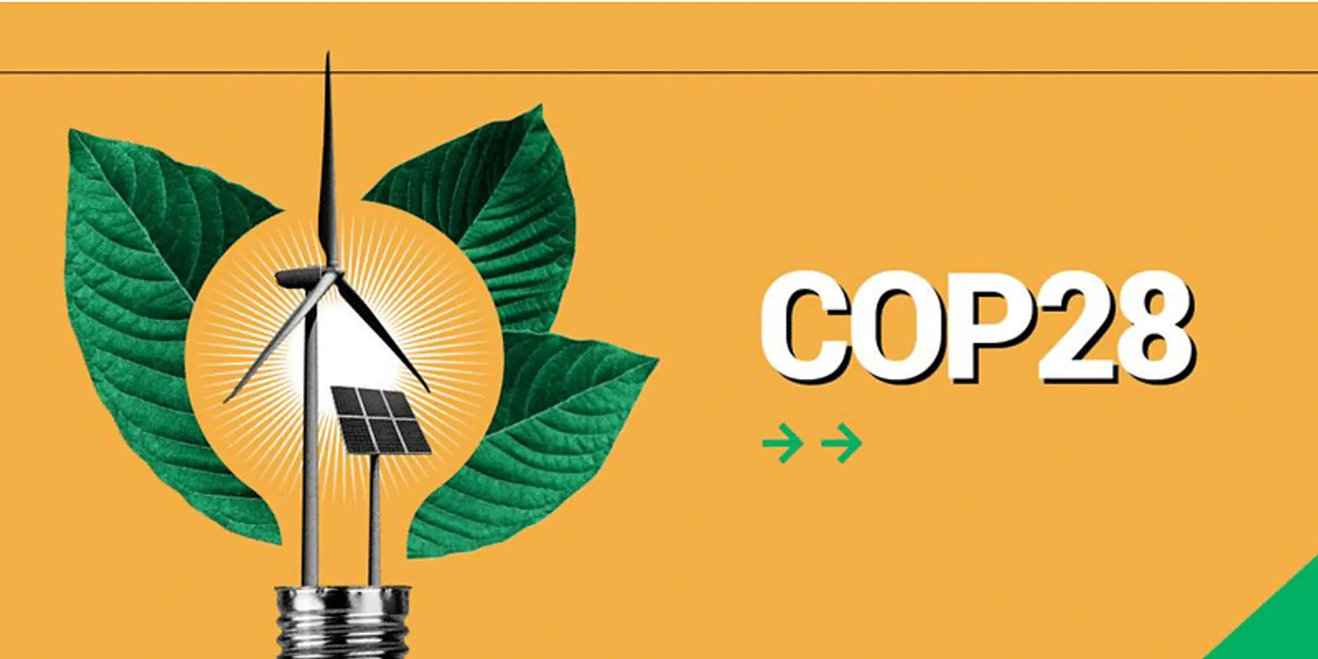 India calls for clear definition of climate finance at COP28