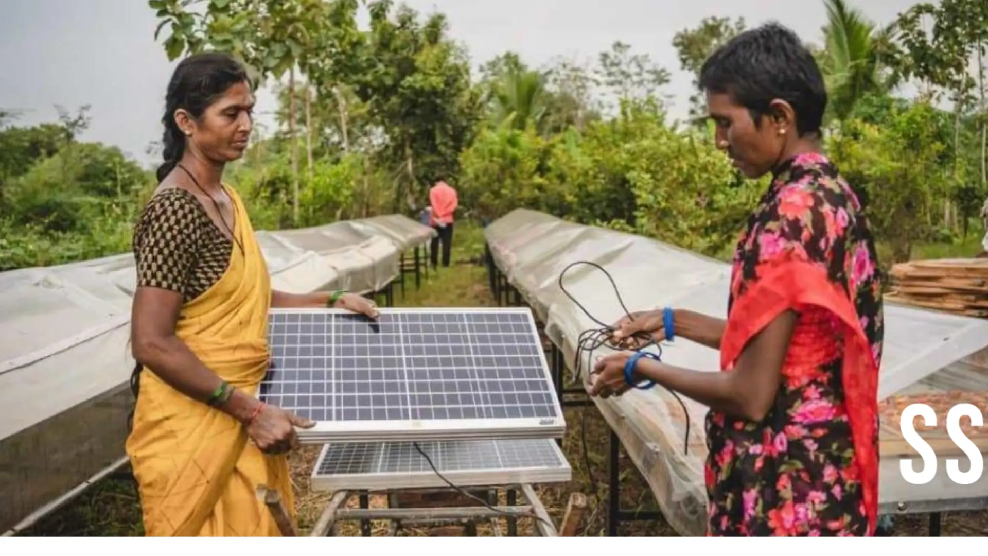 Where clean energy meets rural livelihoods