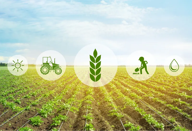 scope of organic farming in india