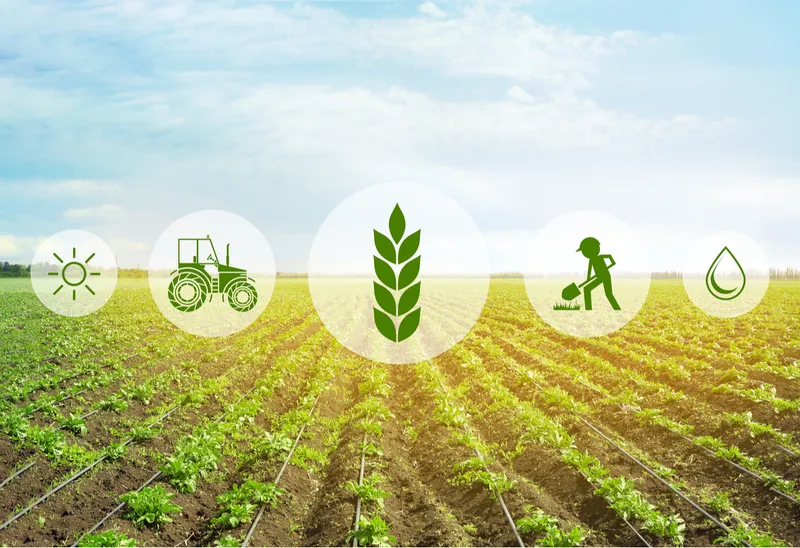 scope of organic farming in india 