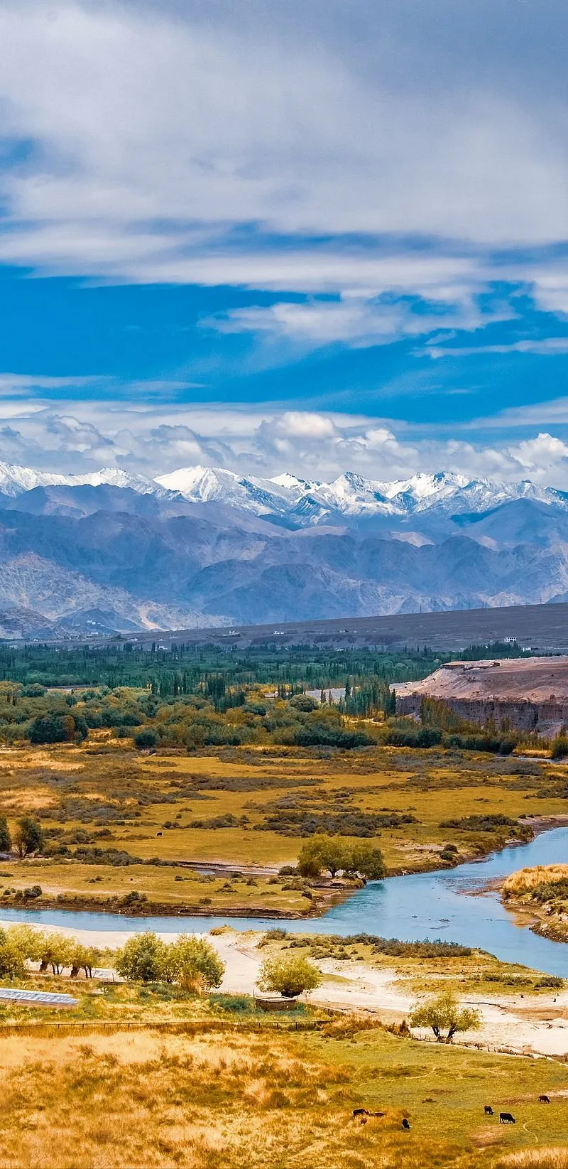 Snow capped mountain view in Ladakh, photograph by Rohit Dhiman