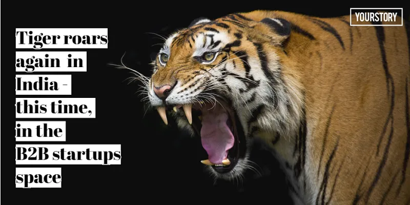 Tiger Global, B2B startups, Indian startup ecosystem
