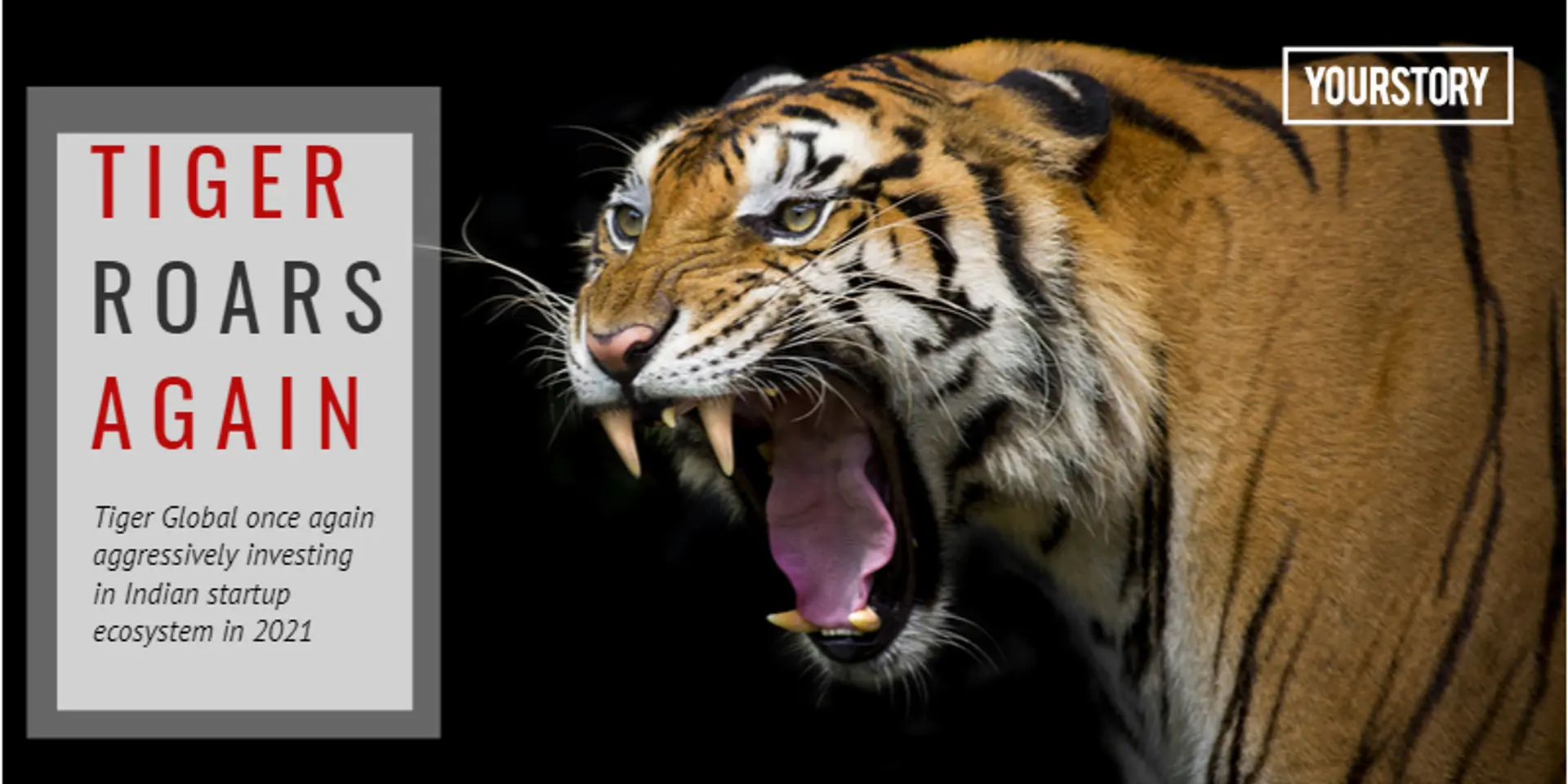 With 15 Indian startup funding deals in 2021, Tiger Global takes a big leap of faith