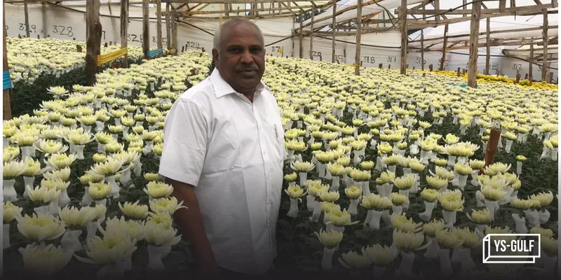 Mohammed Ehiya