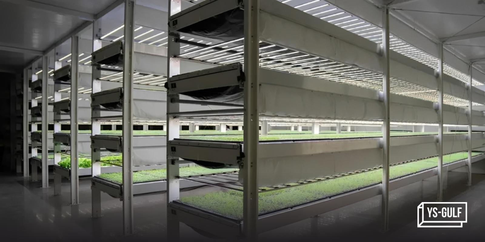 ADQ’s AgTech Park rolls out vertical farming project